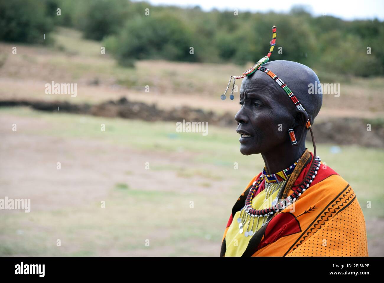 Bouclier tribal en peau d'animal massaï d'Afrique de l'Est