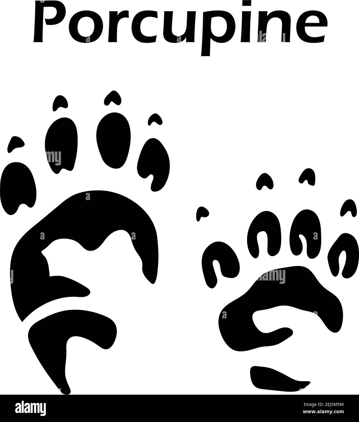 Empreinte de Porcupine. Design silhouette noire. Vector Illustration. Illustration de Vecteur