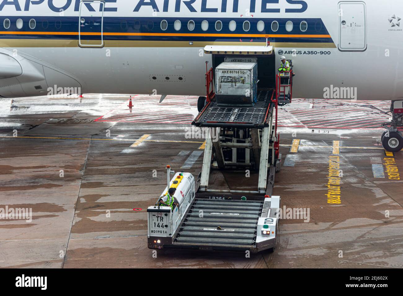 Un chargeur ULD soulevant un dispositif de charge unitaire (ULD) de Un tablier s'étend jusqu'à une baie de fret d'avions d'un Singapour Compagnie aérienne à l'aéroport Changi de Singapour Banque D'Images