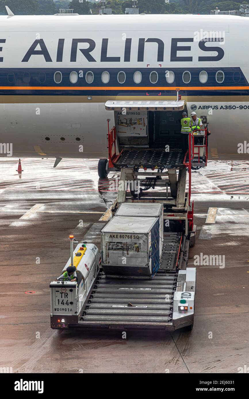 Un chargeur ULD soulevant un dispositif de charge unitaire (ULD) de Un tablier s'étend jusqu'à une baie de fret d'avions d'un Singapour Compagnie aérienne à l'aéroport Changi de Singapour Banque D'Images