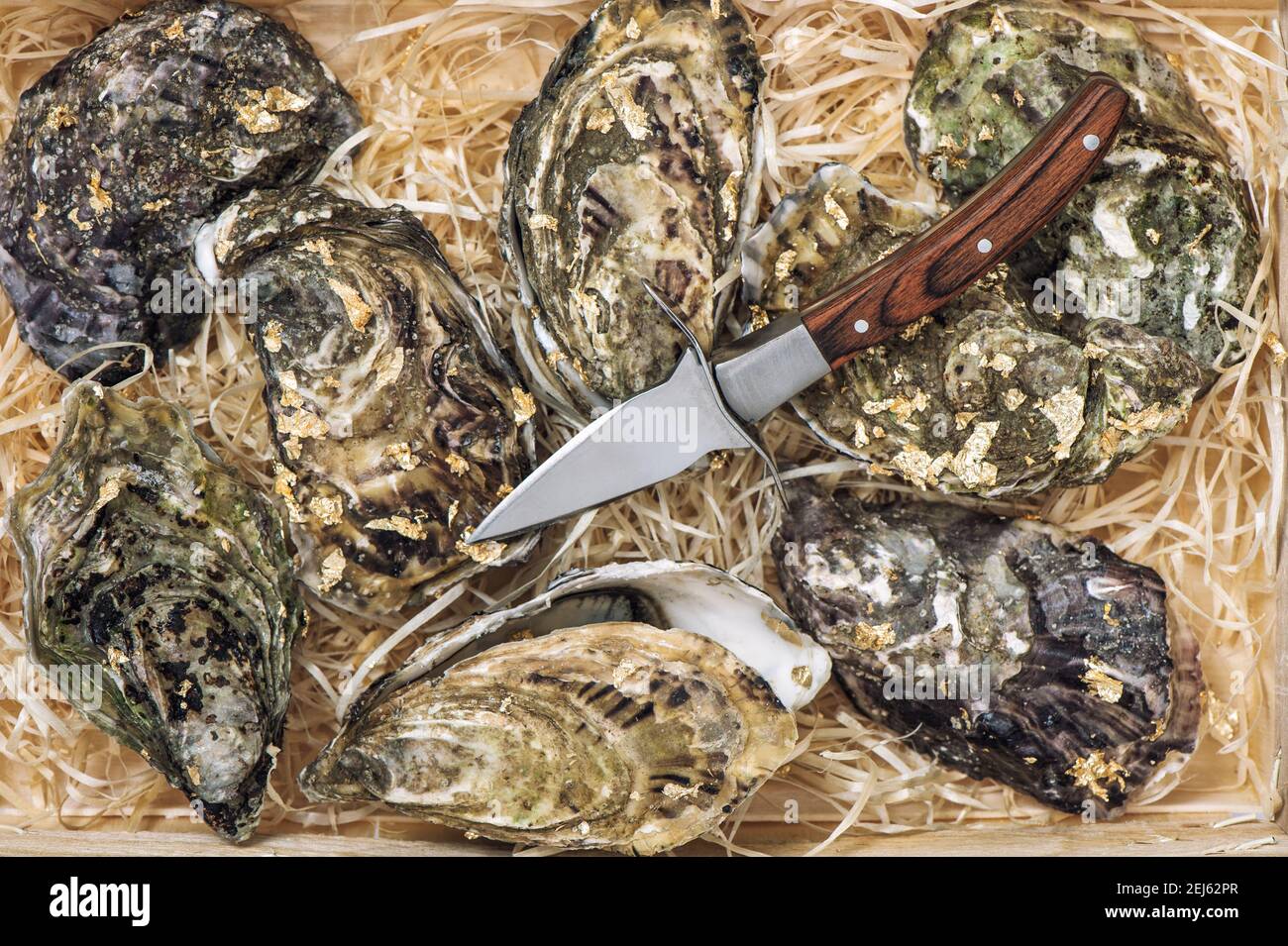 Huîtres fraîches avec couteau à huîtres. Fruits de mer gastronomiques Banque D'Images
