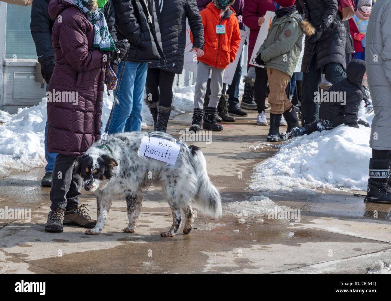 Grosse Pointe Park, Michigan, États-Unis. 21 février 2021. Plusieurs centaines de personnes ont défilé devant la maison de Je Donna Dinges pour protester contre la haine et le racisme dans leur communauté historiquement blanche. Le 15 février, Dinges, un Afro-américain, découvrit que son voisin avait accroché un drapeau Ku Klux Klan dans la fenêtre faisant face à sa maison. Crédit : Jim West/Alay Live News Banque D'Images