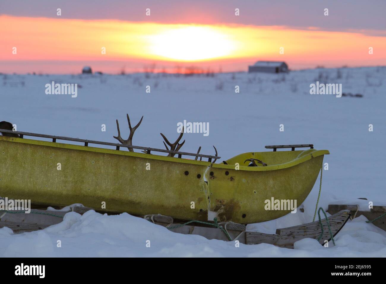 Luge contenant des bois de caribou en hiver au lever du soleil, Tuktoyaktuk, Territoires du Nord-Ouest, l'ouest de l'Arctique canadien. Banque D'Images