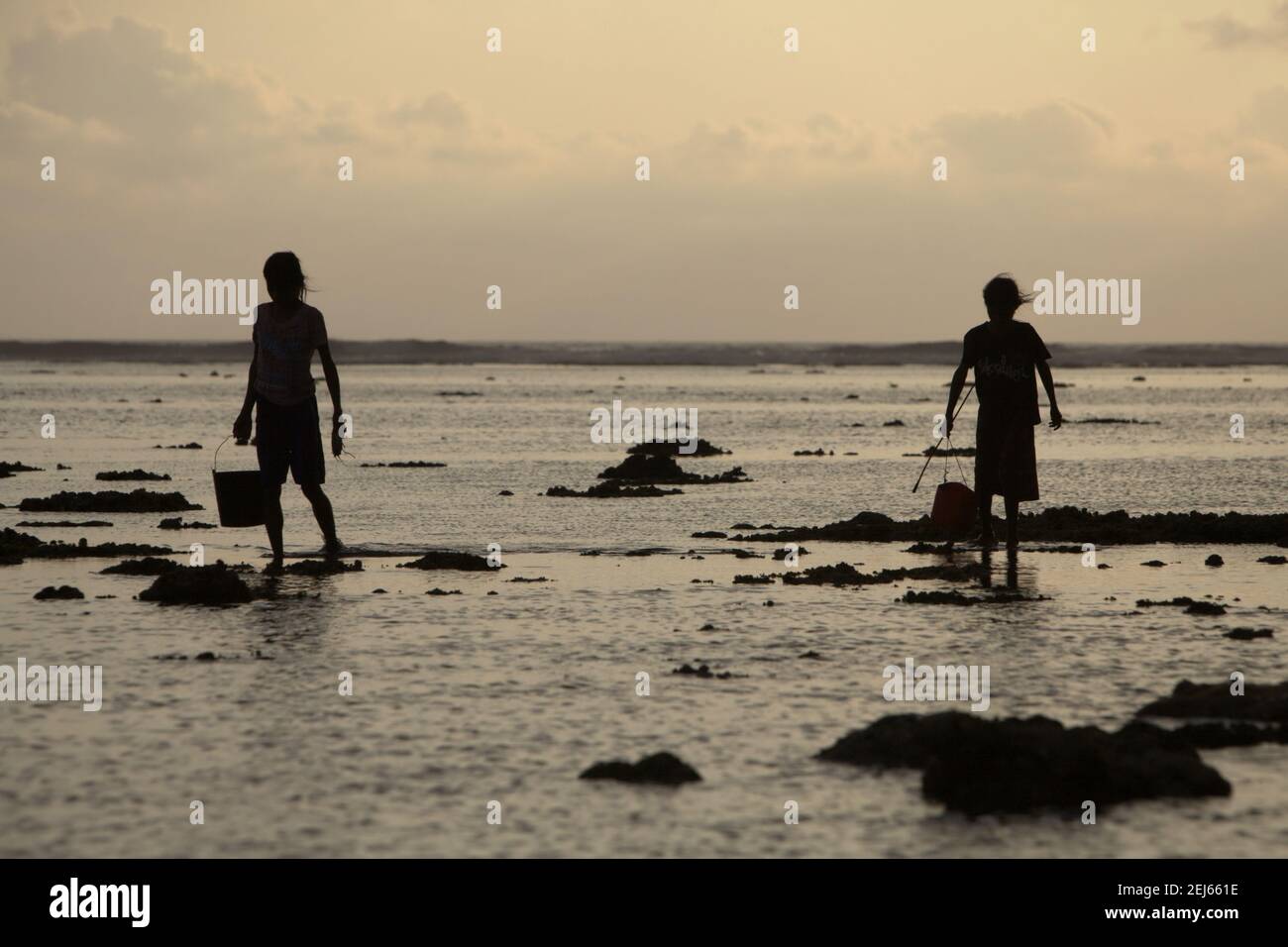 Les jeunes femmes ont fait la silhoueté lorsqu'elles marchent sur la plage rocheuse à marée basse, transportant des seaux en plastique pour recueillir des produits de la mer, une source alternative de nourriture saisonnière à l'île de Sumba, à l'est de Nusa Tenggara, en Indonésie. Banque D'Images