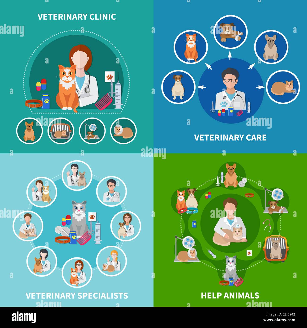 Clinique vétérinaire procédures de traitement des animaux les spécialistes des médicaments conseillent 4 icônes plates concept carré illustration vectorielle isolée Illustration de Vecteur