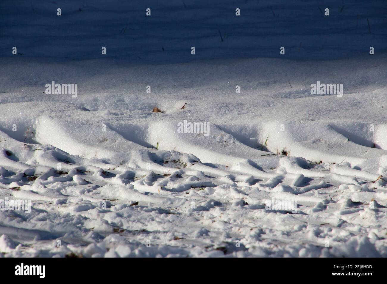 Les pneus du tracteur s'entassement dans la neige en hiver Banque D'Images
