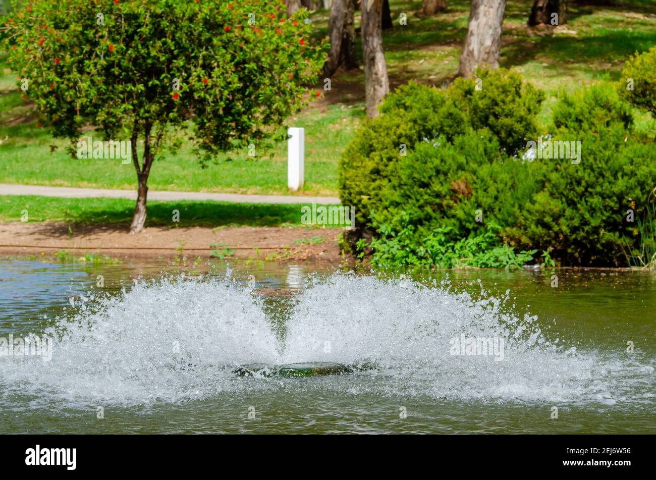 Aération de l'étang de canard Banque D'Images