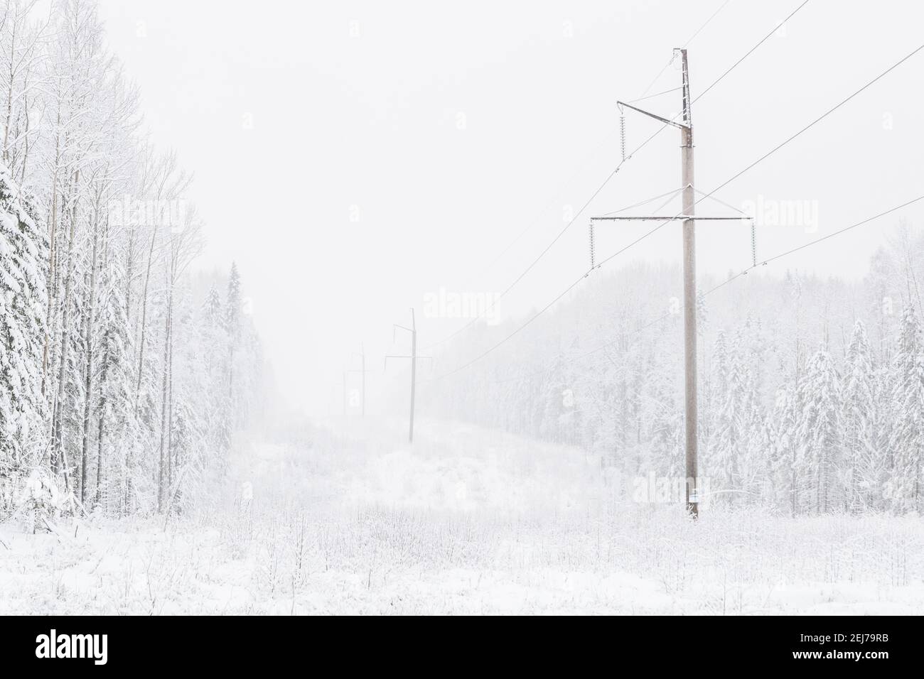 ligne électrique dans la forêt. Hiver Banque D'Images