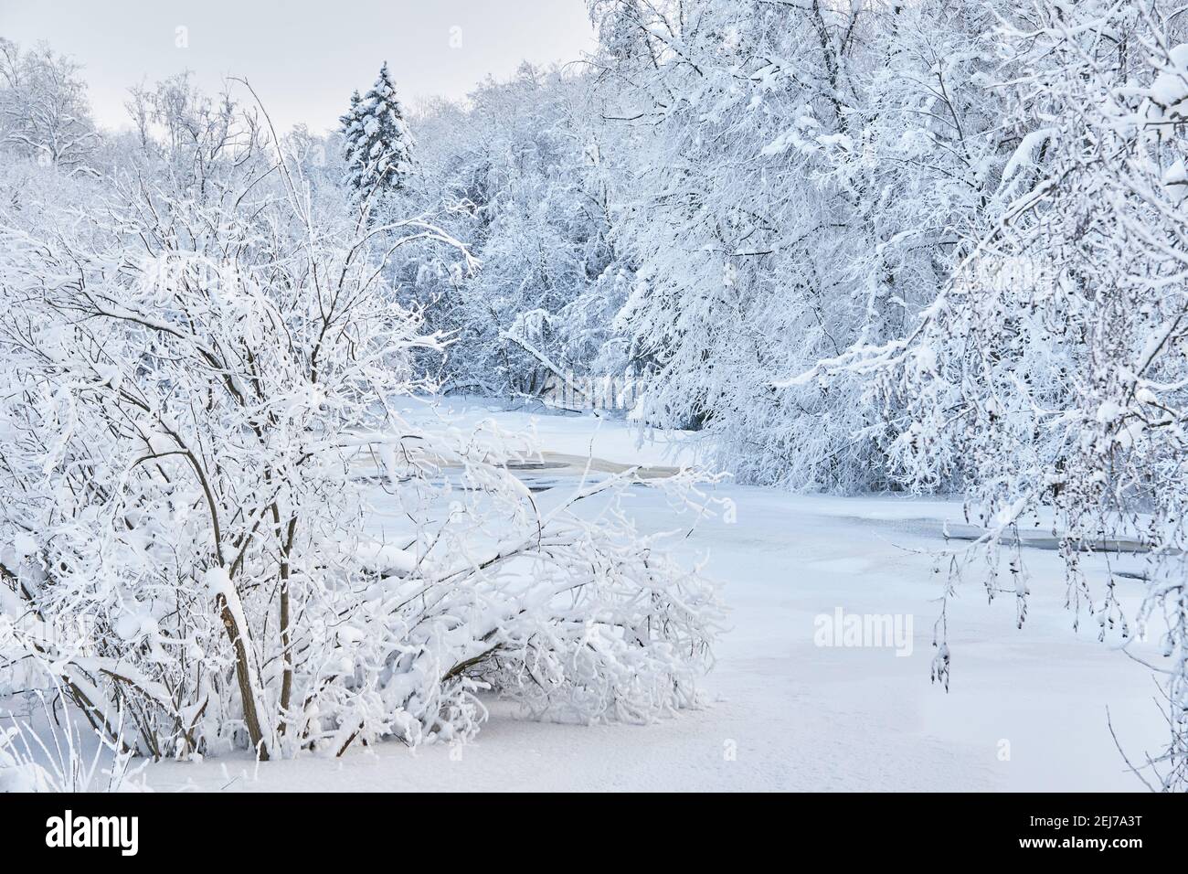 rivière gelée. neige magnifique hiver Banque D'Images