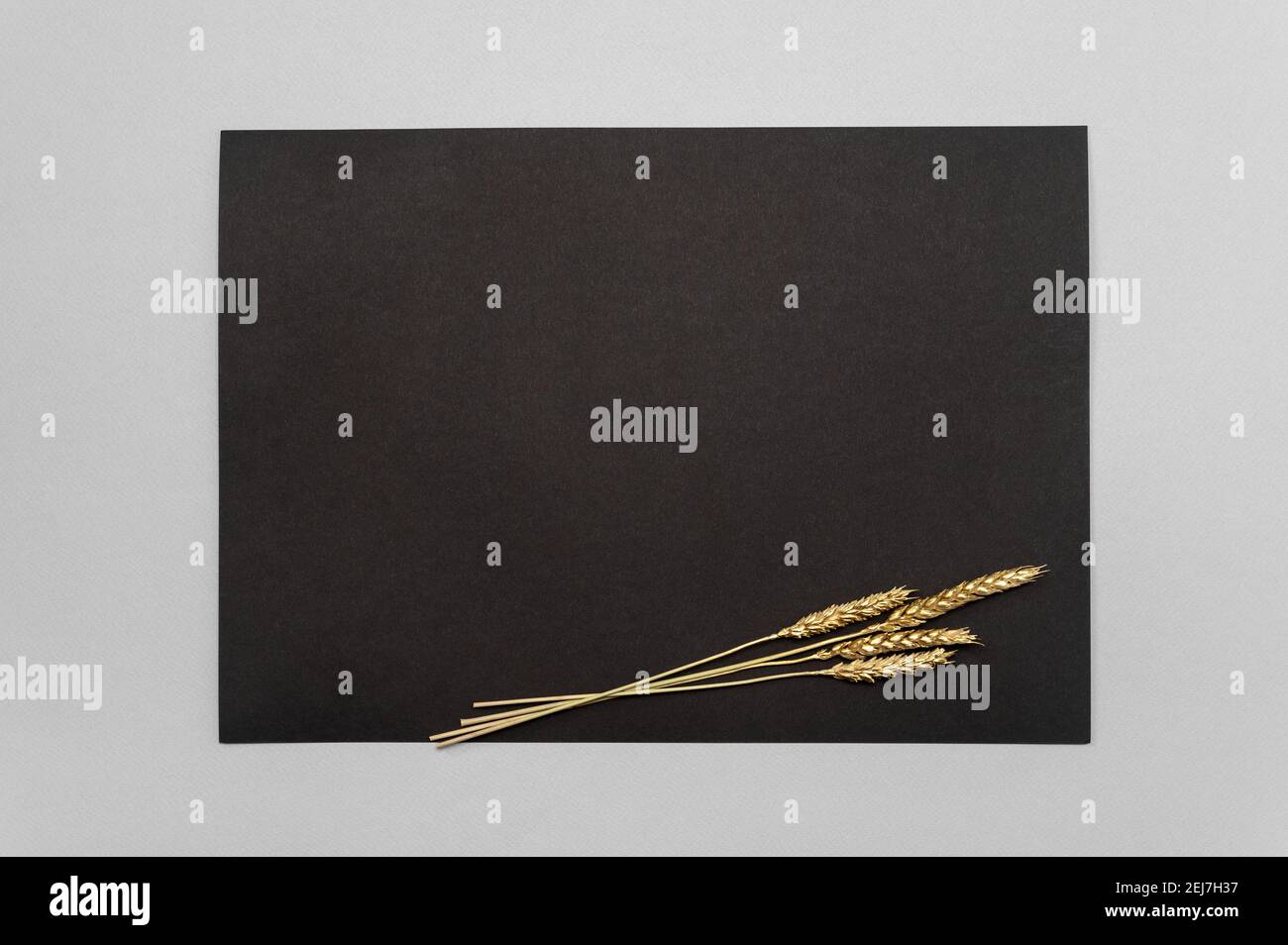 Carte d'invitation noire avec décoration en herbe dorée séchée sur une table neutre. Format de bande noire 5x7, similaire à A3, A4, A5. Espace de copie. Minimal Banque D'Images