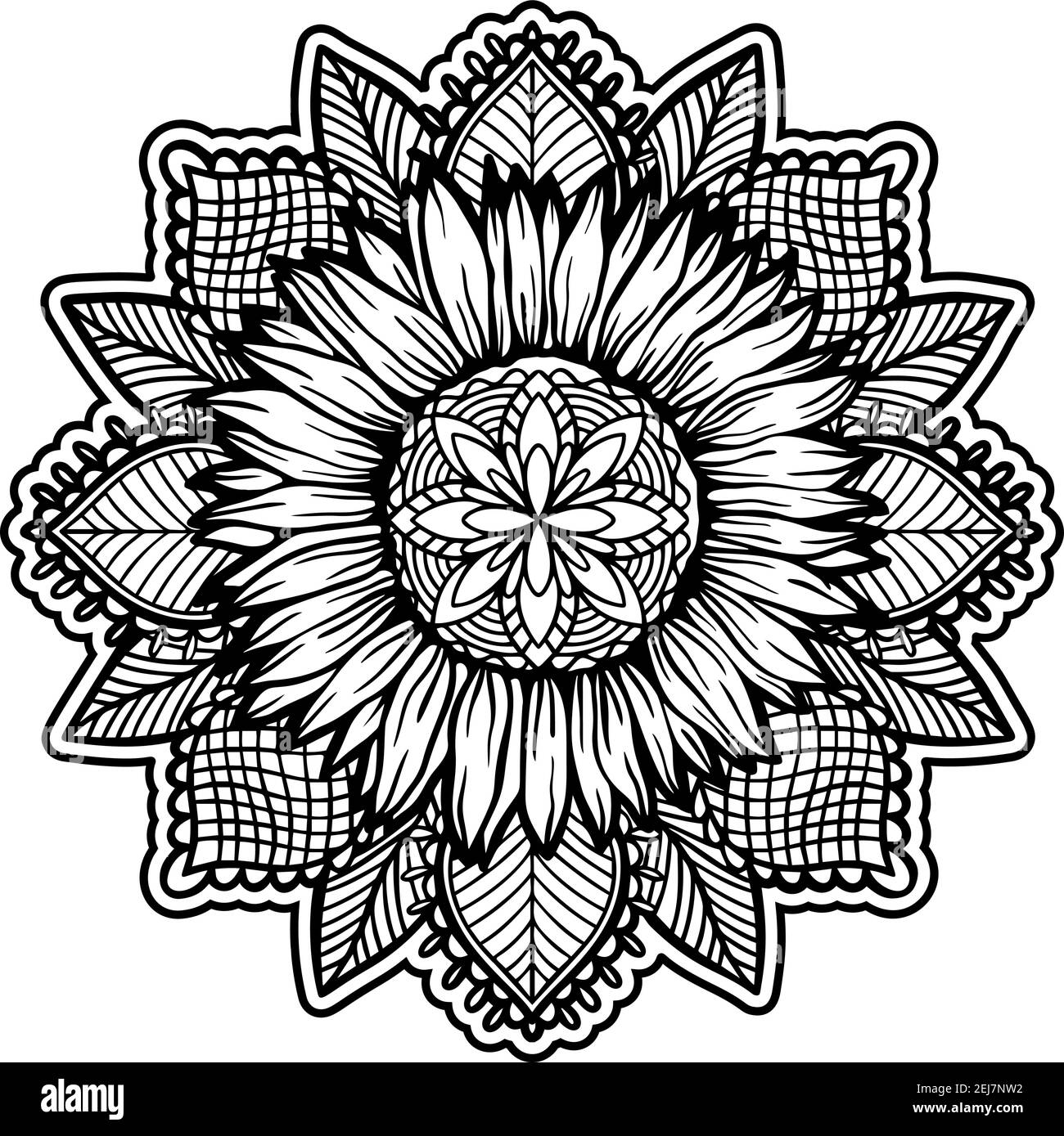 Tournesol mandala nature florale plante.fleur d'été isolée dans fond blanc.fleurs sauvages botaniques. Illustration de Vecteur
