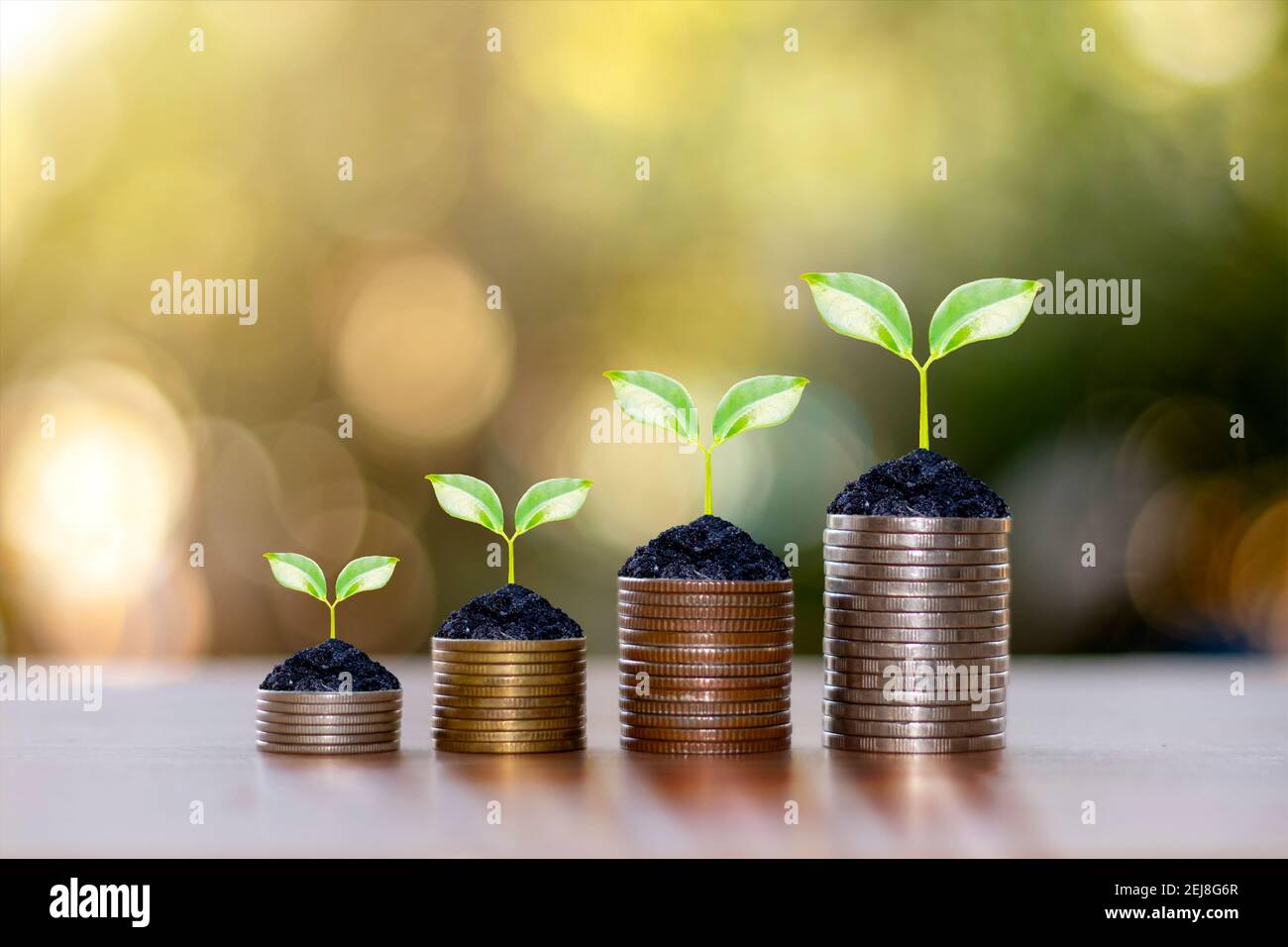 Coin et usine sur pile de pièces idées pour économiser de l'argent et d'investir des affaires. Banque D'Images