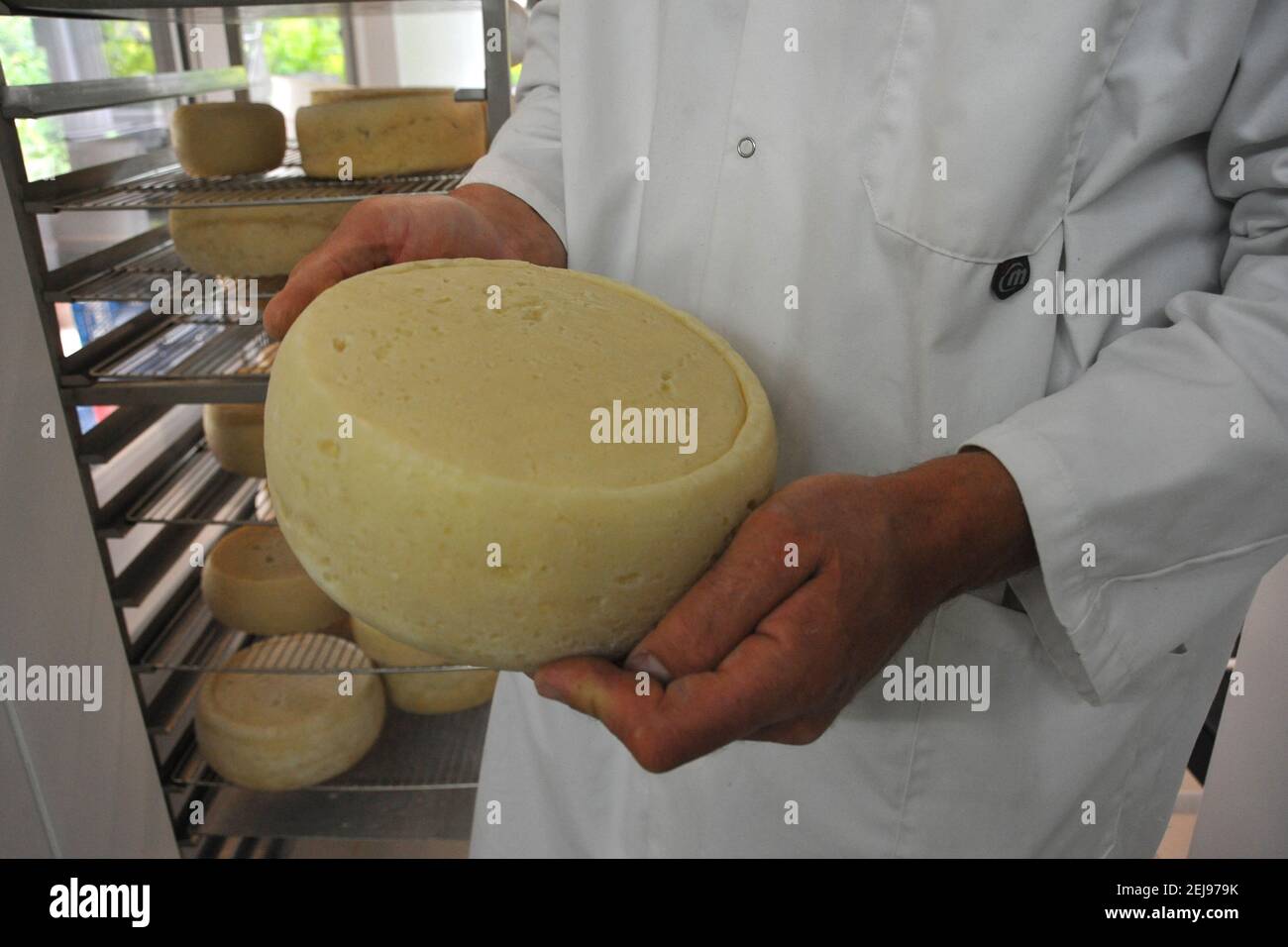 Élevage de chèvres et production de produits biologiques à partir de lait de chèvre Banque D'Images