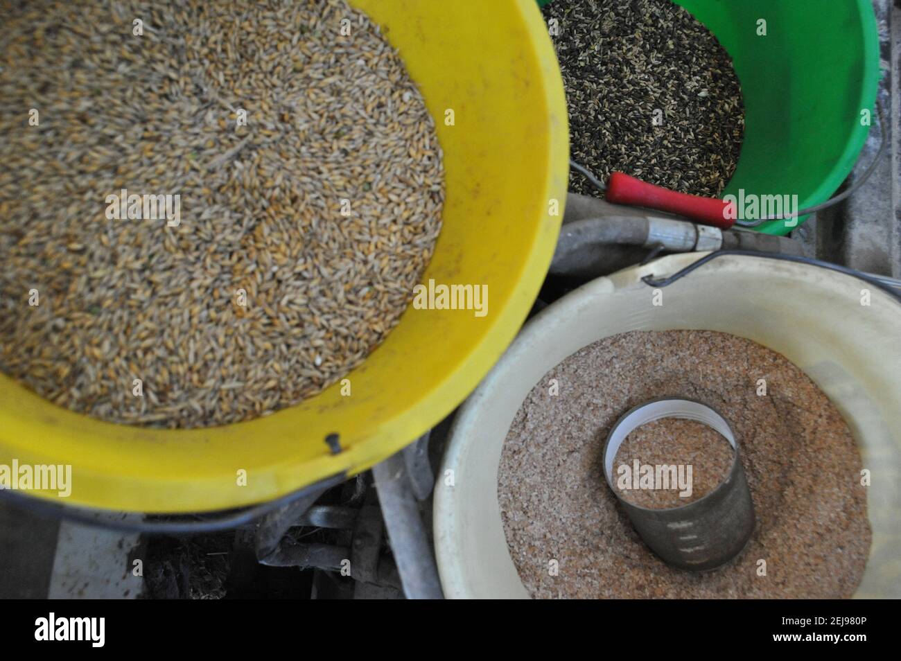 Élevage de chèvres et production de produits biologiques à partir de lait de chèvre Banque D'Images