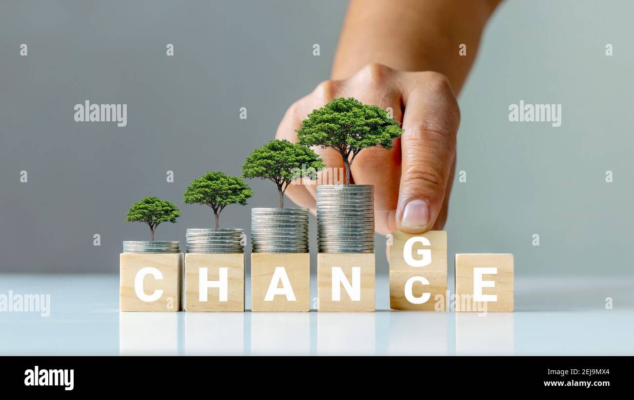 L'arbre sur la pièce et la main retourne le cube en bois en le transformant en une occasion de développement personnel et de croissance financière. Banque D'Images