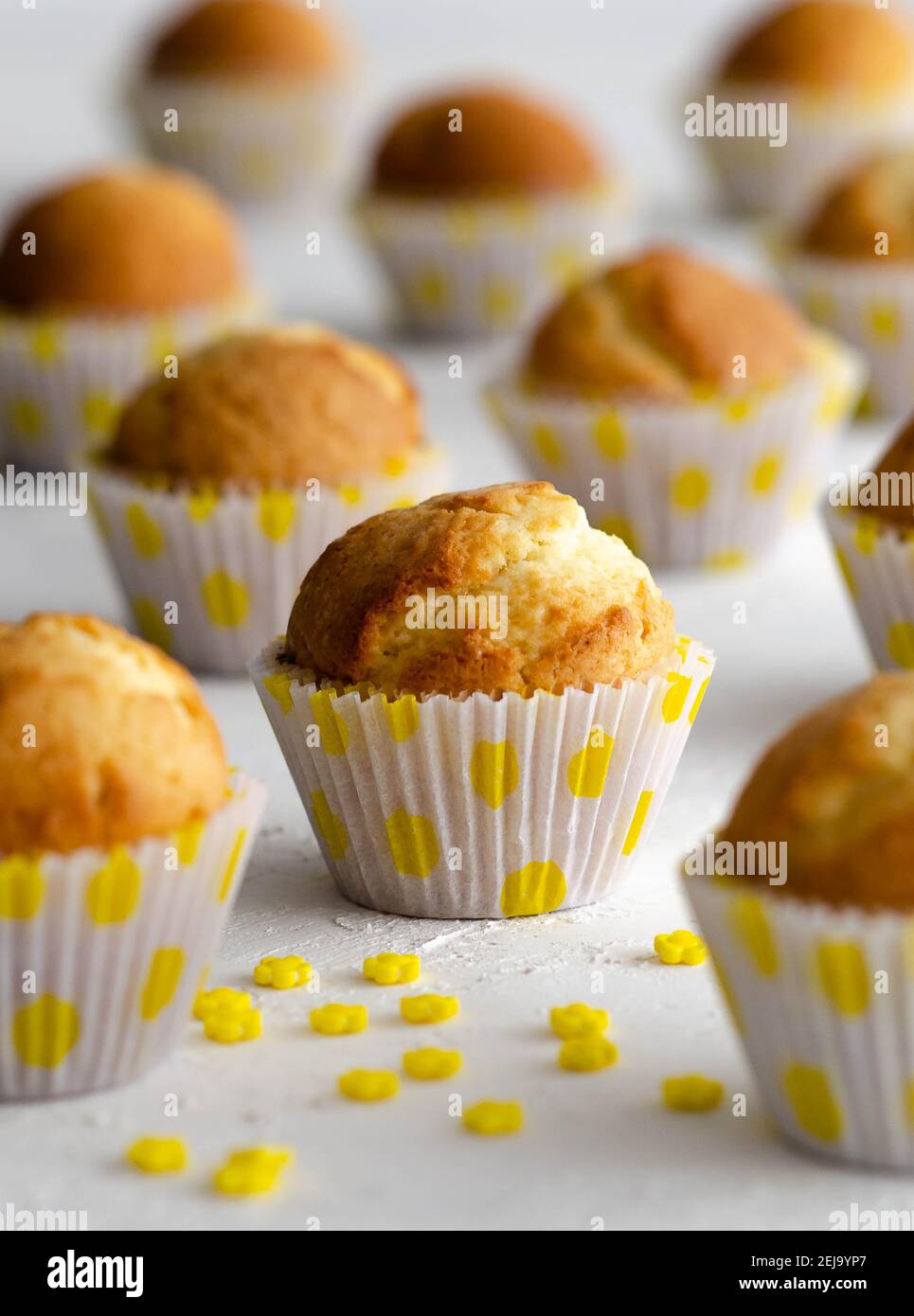 Muffins au citron avec fleurs de sucre jaune sur fond blanc. Banque D'Images