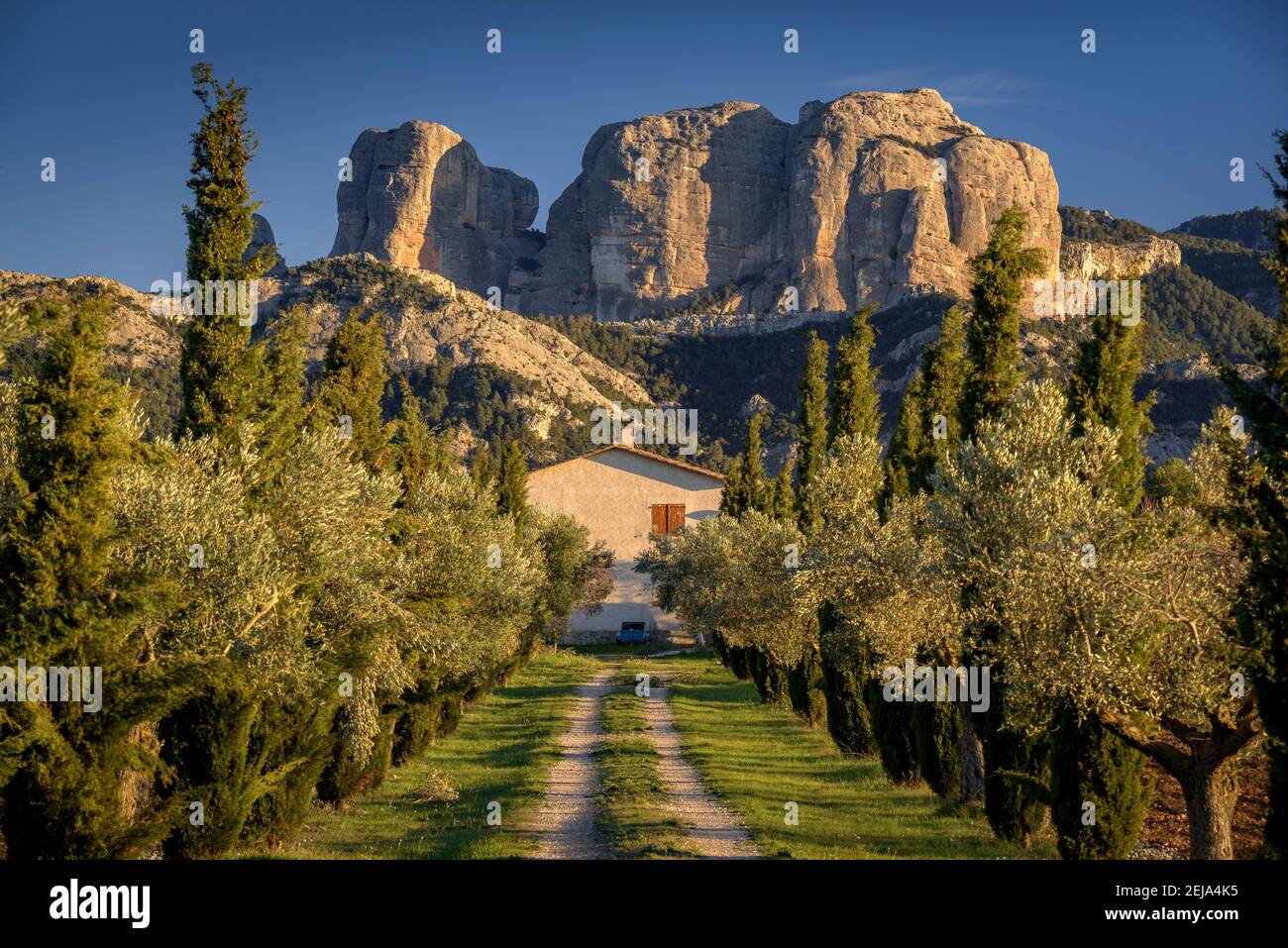 Rochers de Roques de Benet au coucher du soleil, Horta de Sant Joan (Catalogne, Espagne) ESP: Rocas de Benet al atardecer (Horta de Sant Joan, Cataluña, España) Banque D'Images