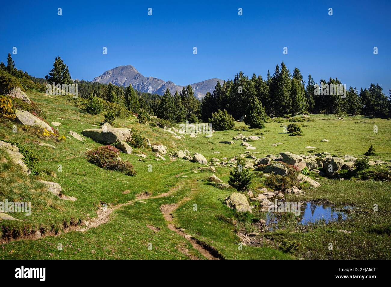 Lacs Carlit, les Bouillouses, en été (Pyrénées Orientales, France) ESP: Lagos del Carlit, en las Bulloses, en verano (Pirineos, Francia) Banque D'Images