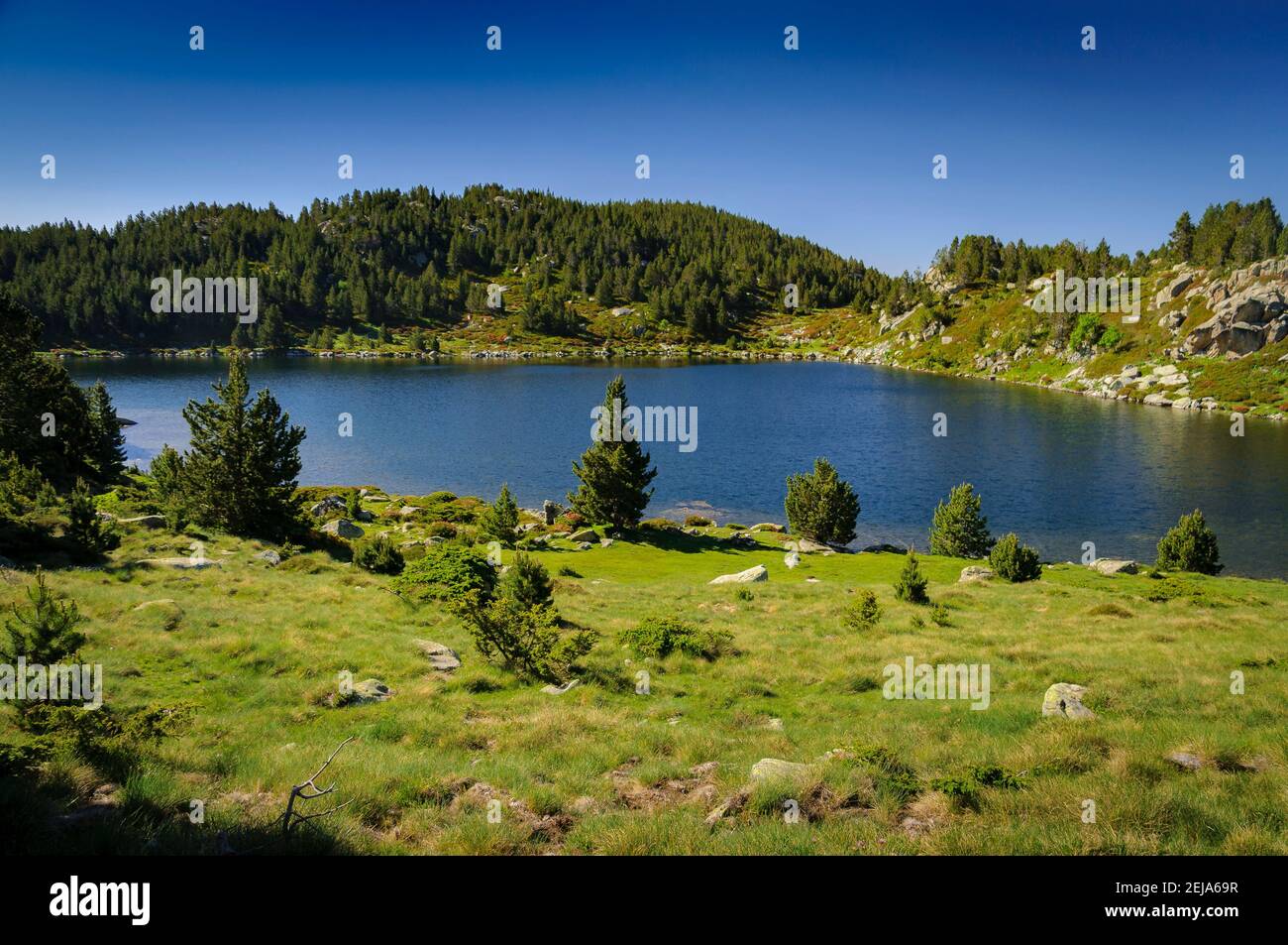 Lacs Carlit, les Bouillouses, en été (Pyrénées Orientales, France) ESP: Lagos del Carlit, en las Bulloses, en verano (Pirineos, Francia) Banque D'Images