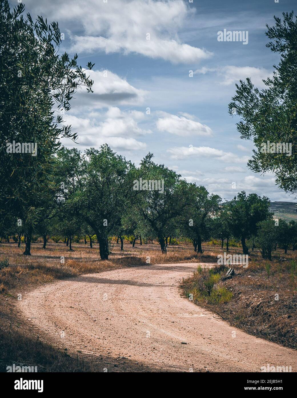 Route Banque D'Images