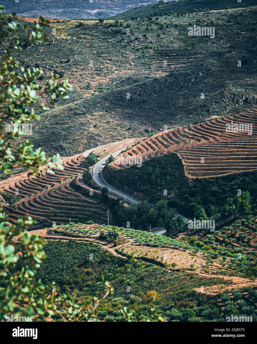 Route Banque D'Images