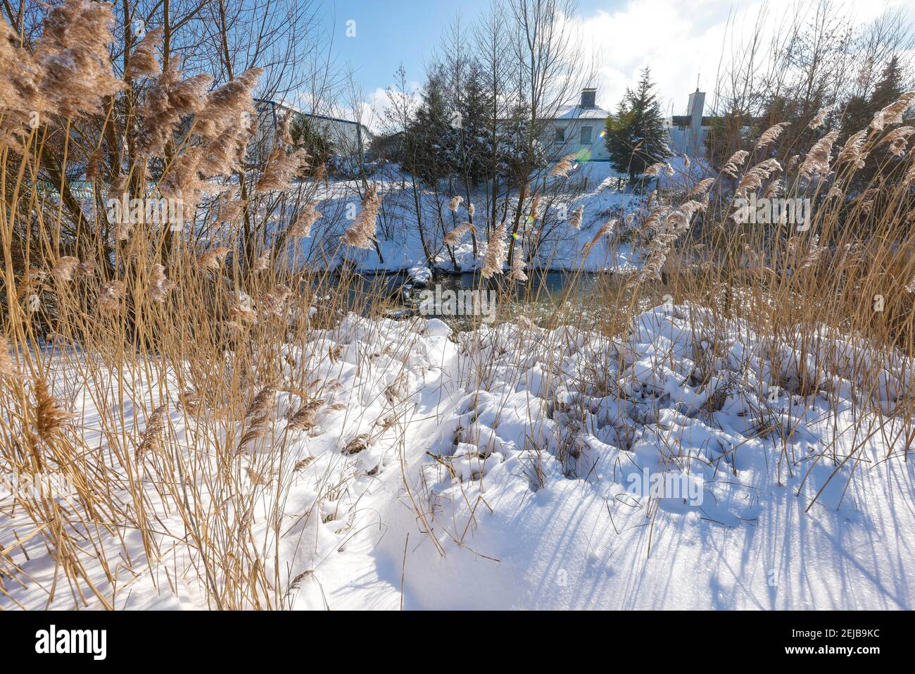 Hamm, Rhénanie-du-Nord-Westphalie, Allemagne - Ensoleillé paysage d'hiver dans la région de la Ruhr, glace et neige sur la rivière Lippe, échelle à poissons, détour de branche de Lippe. Banque D'Images