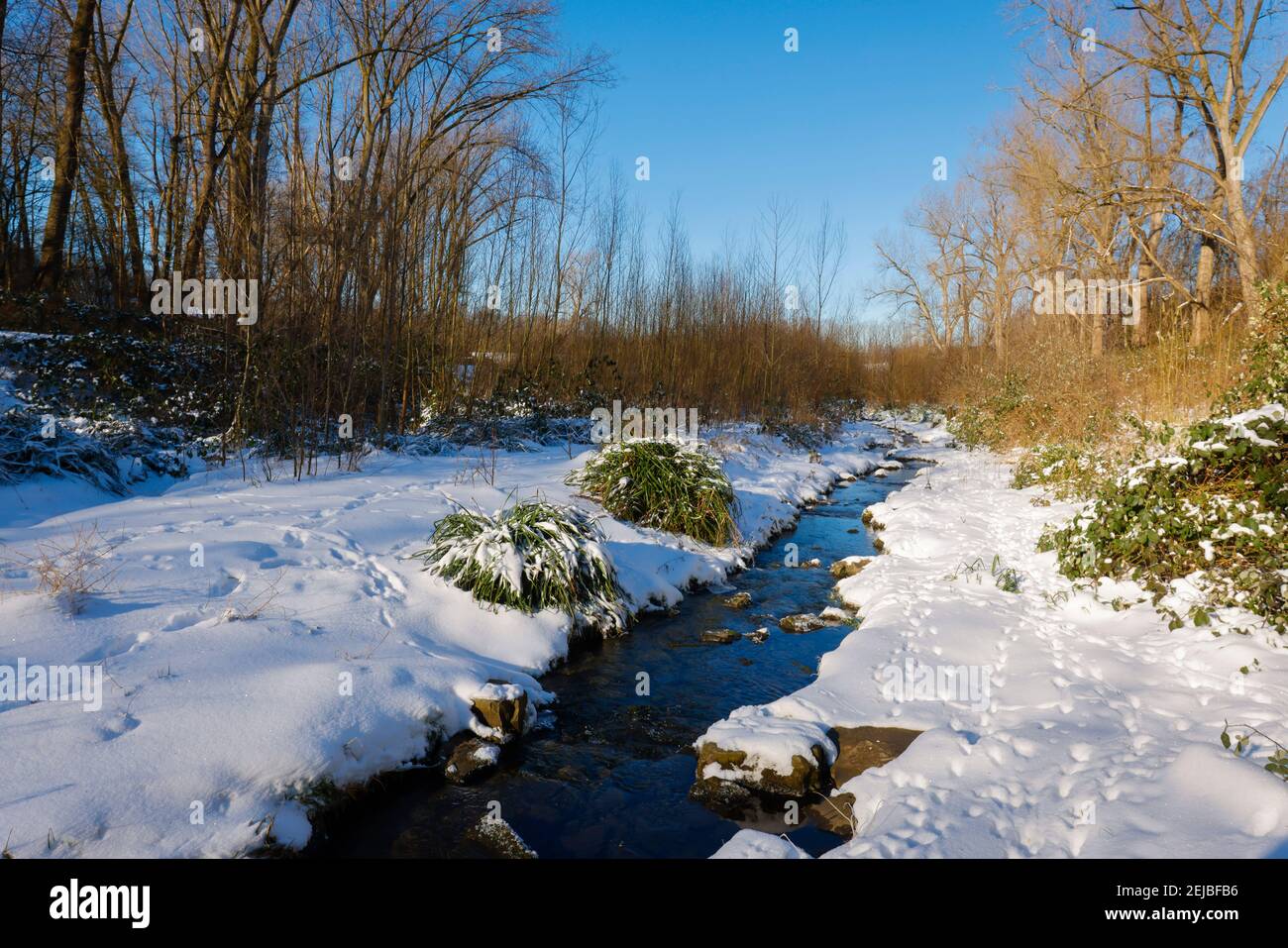 Bochum, Rhénanie-du-Nord-Westphalie, Allemagne - Paysage hivernal ensoleillé dans la région de la Ruhr, glace et neige au ruisseau Goldhammer renaturalisé, le ruisseau était t Banque D'Images