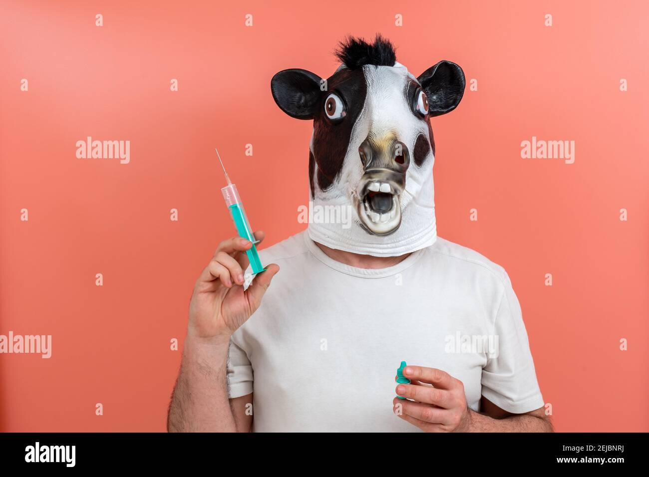 personne déguisée dans un masque de vache en latex préparant l'injection du vaccin coronavirus sur fond rose Banque D'Images