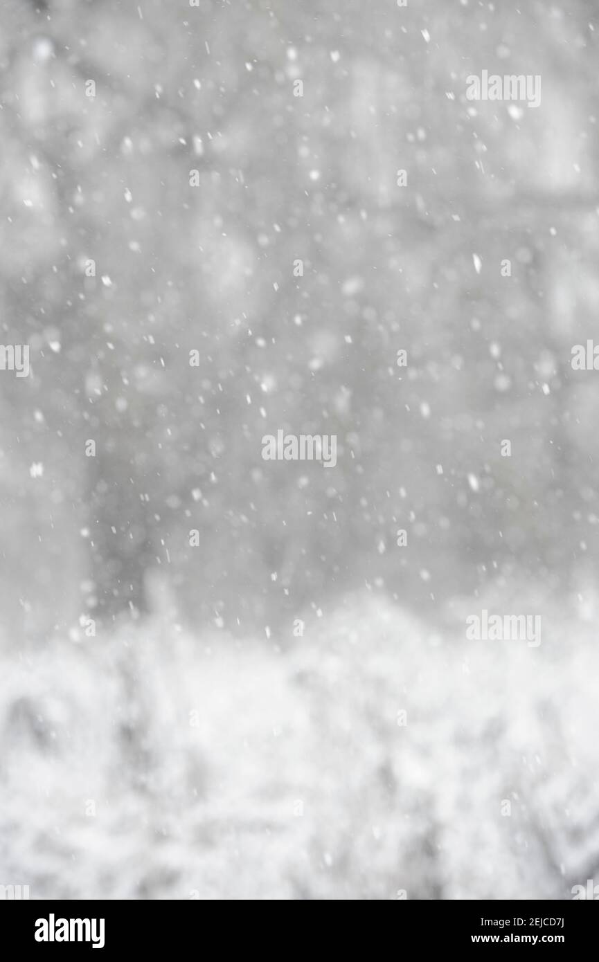 Chute de neige dans les bois le jour de l'hiver au Royaume-Uni. Prise de vue pour utilisation en arrière-plan. Banque D'Images