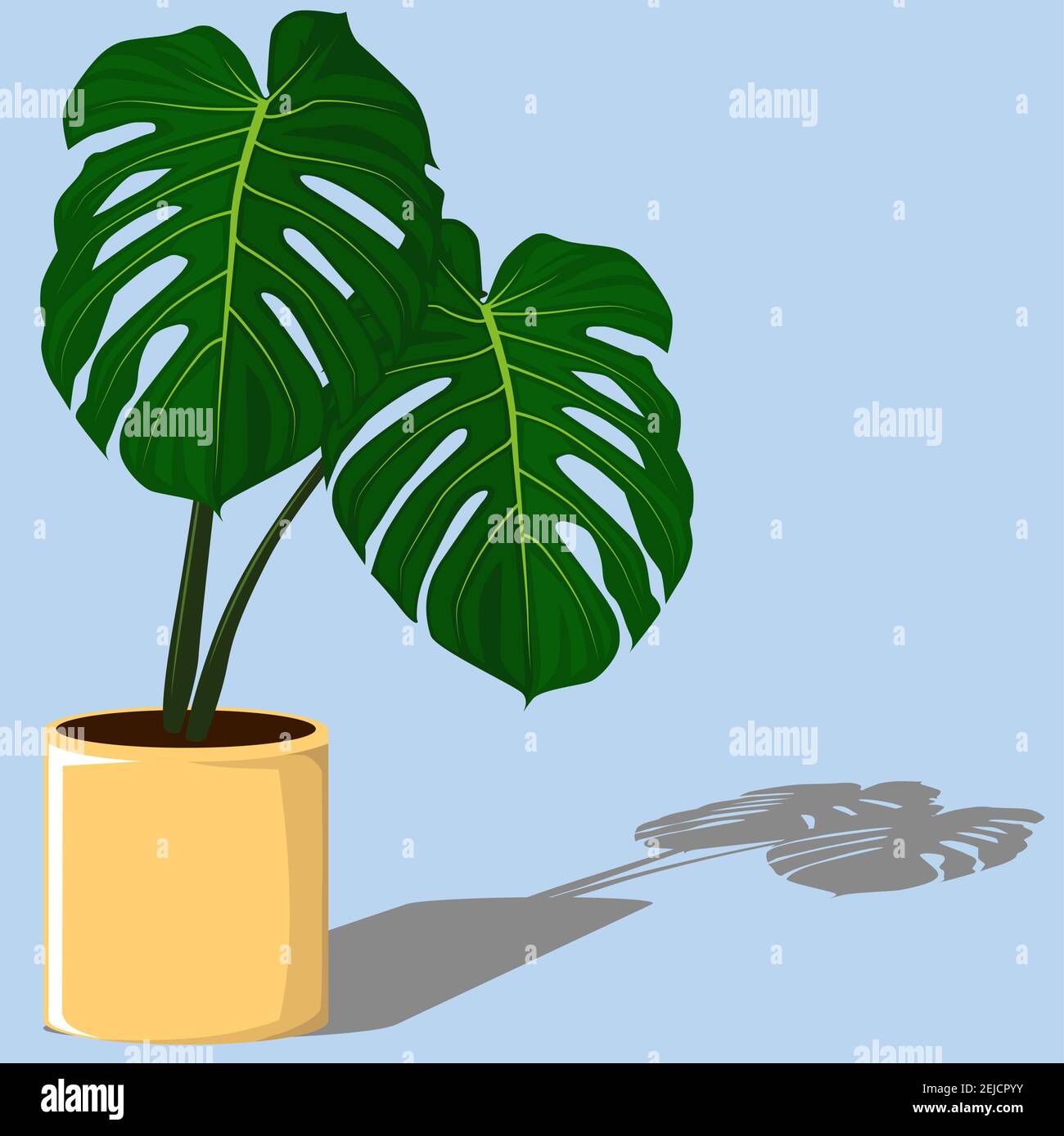 Maison tropicale, plante verte Monstera-punctulata Illustration de Vecteur