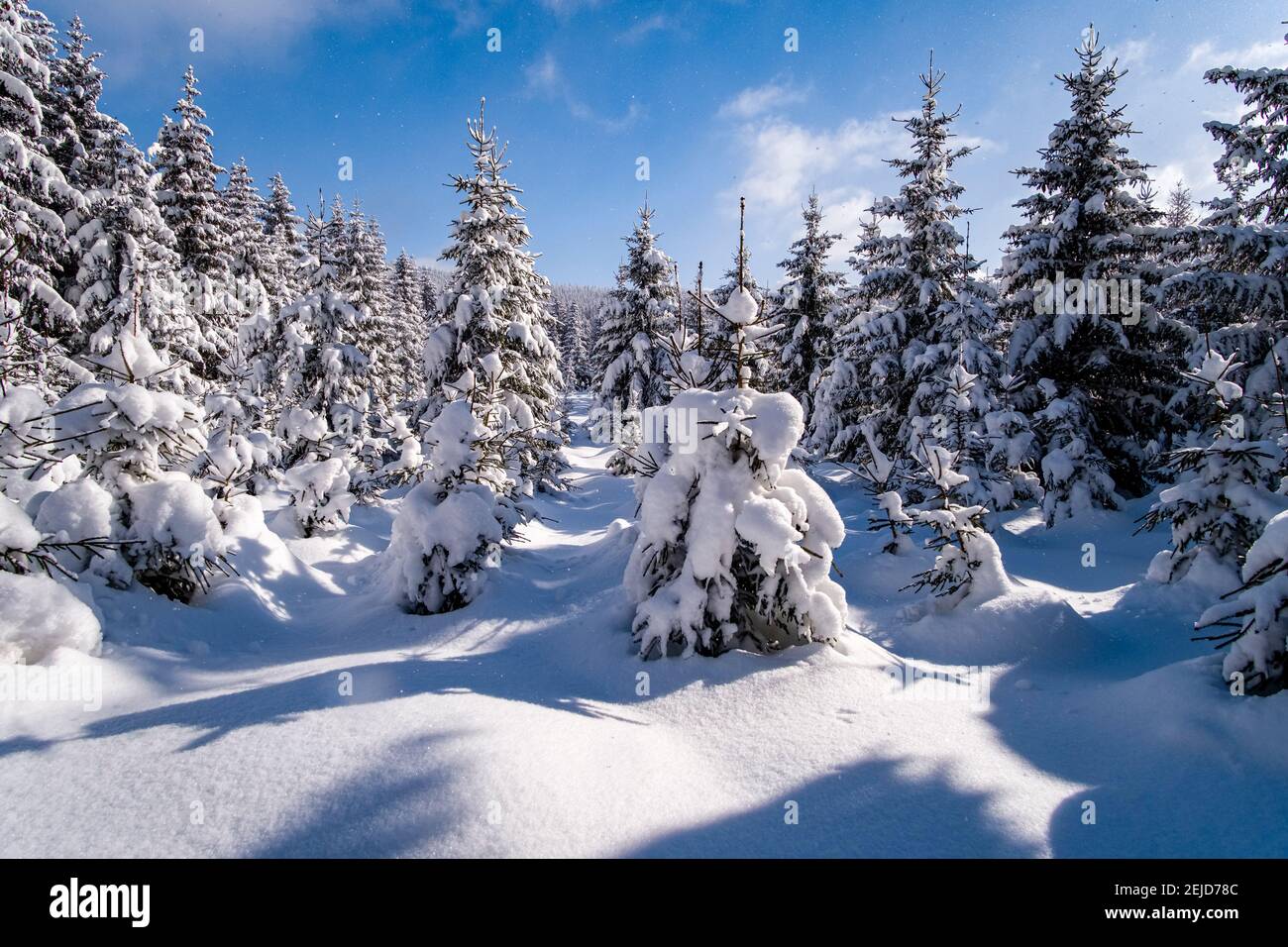 Paysage D Hiver Avec Arbres Et Neige A Une Journee Ensoleillee Dans Les Montagnes D Ore Photo Stock Alamy
