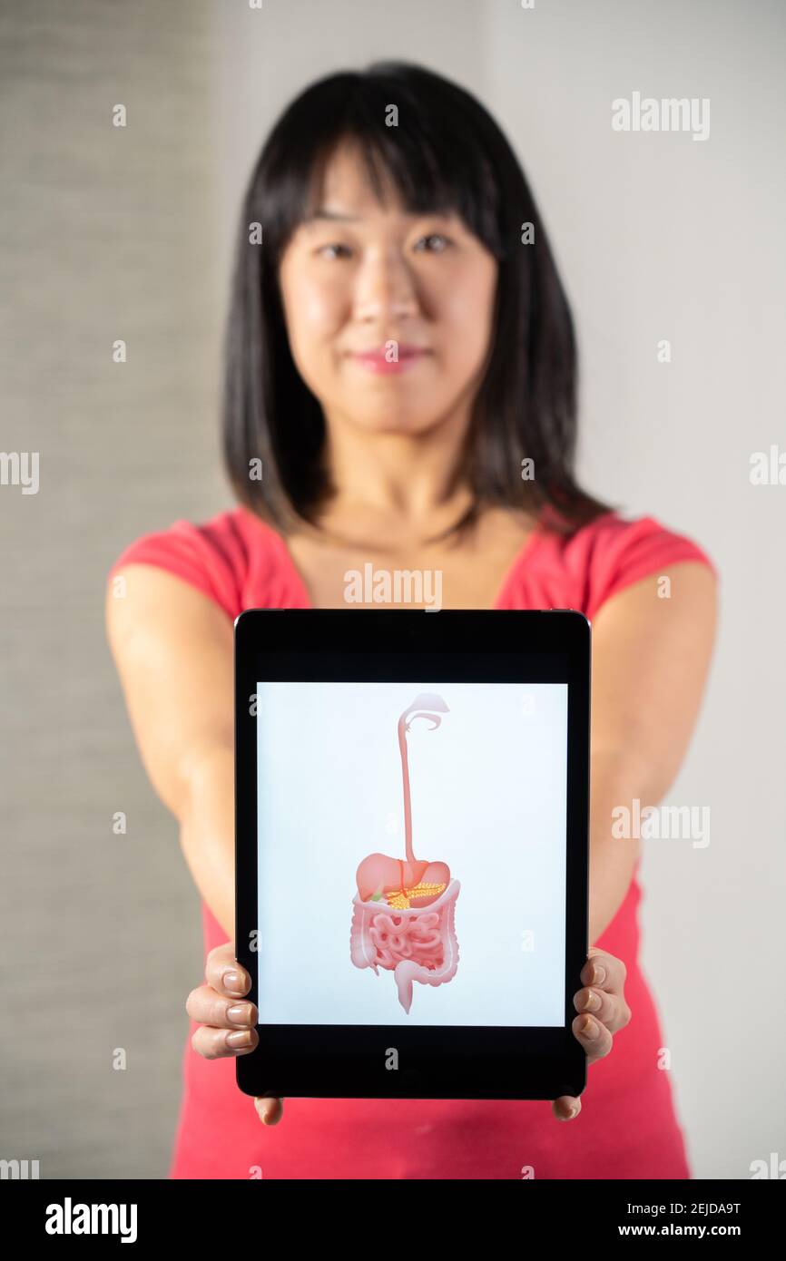 Femme tenant l'écran avec le dessin du tube digestif Banque D'Images