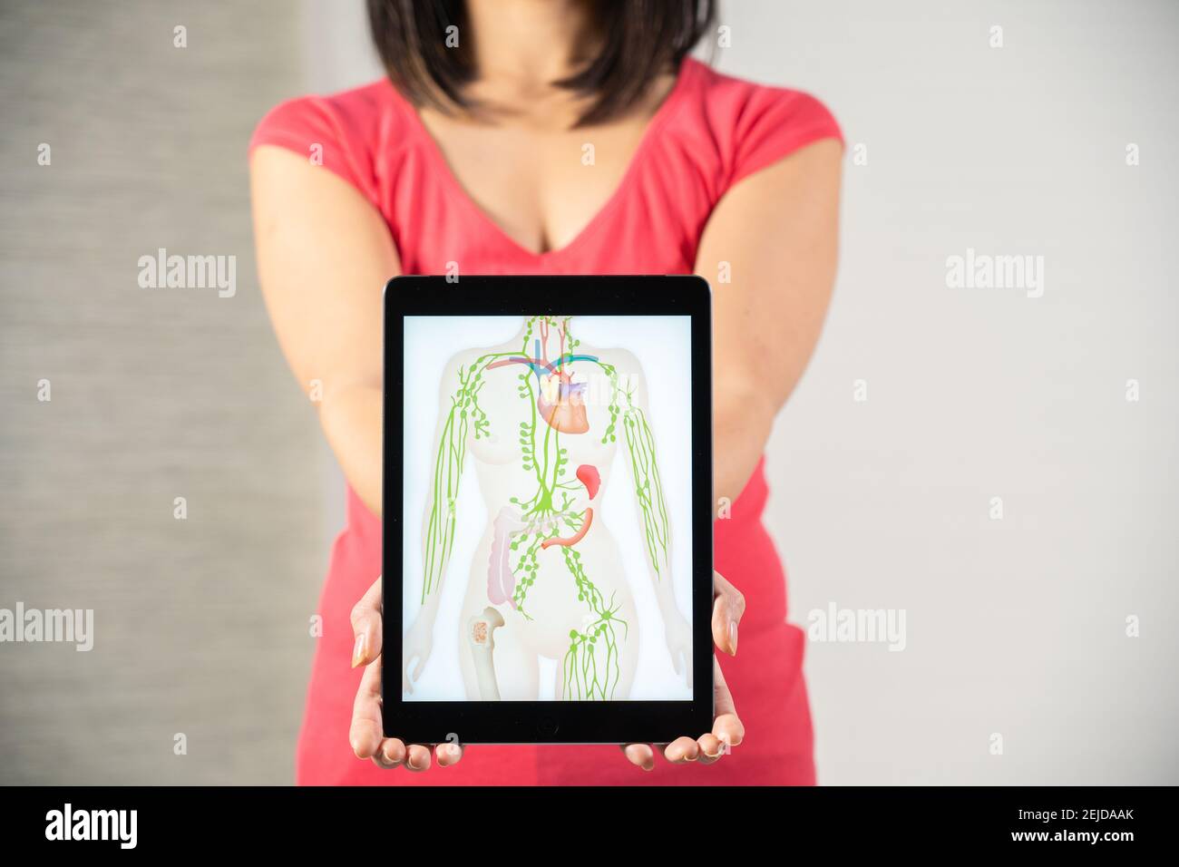 Femme tenant l'écran avec dessin du système lymphatique Banque D'Images