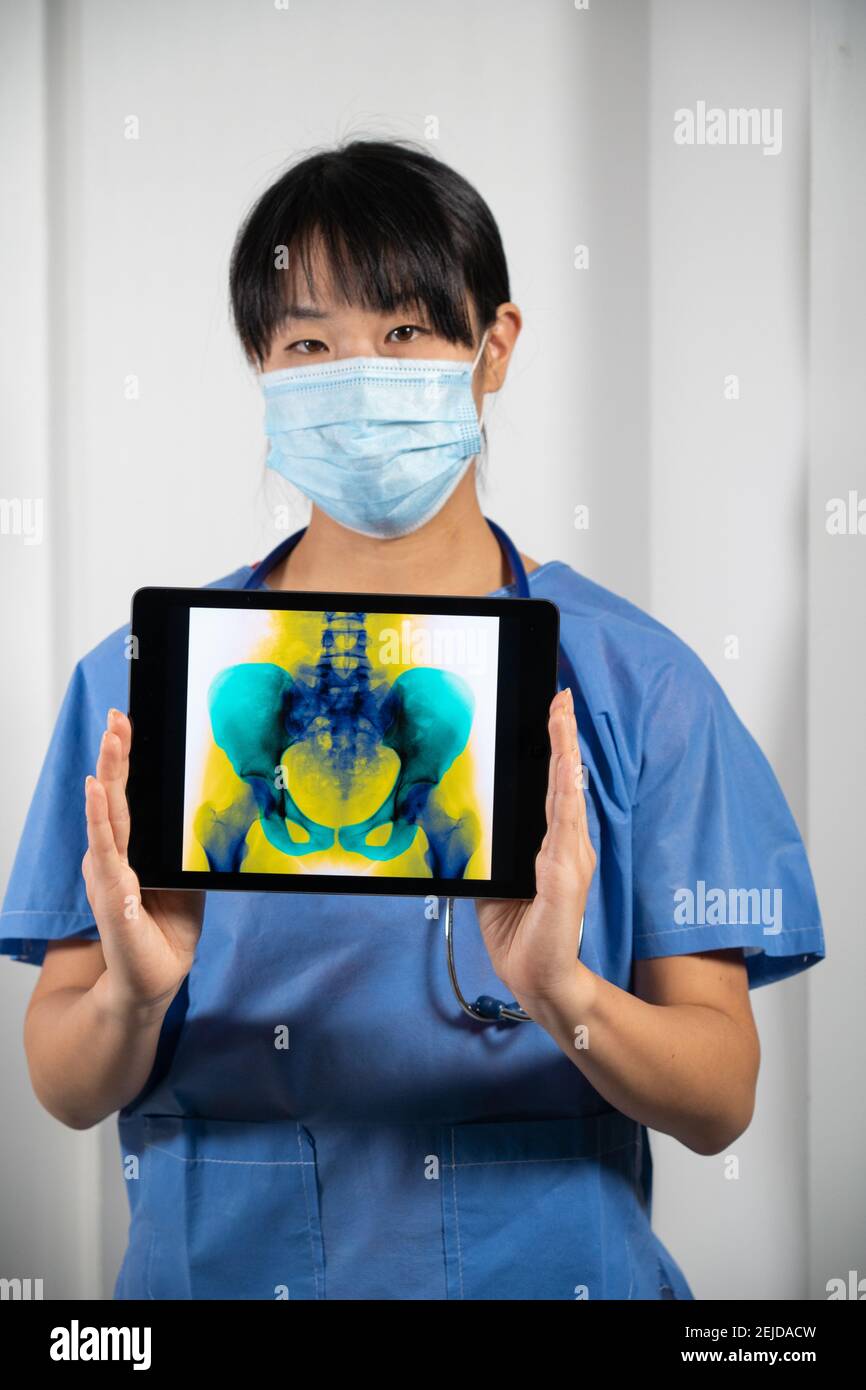 Femme médecin tenant un écran avec rayons X du bassin Banque D'Images