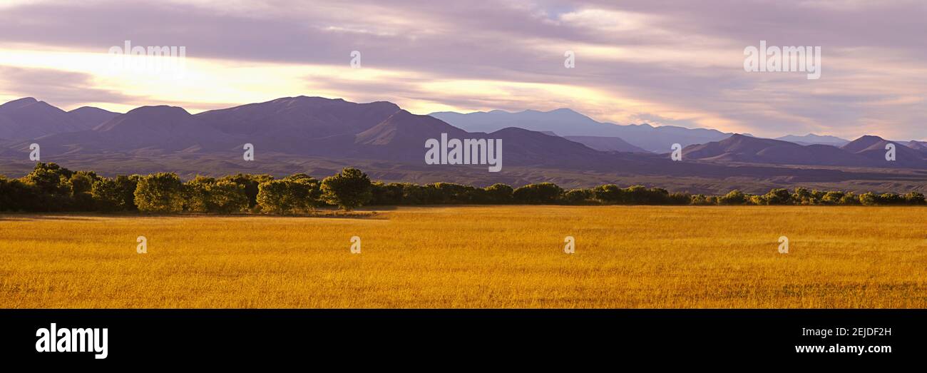 Paysage avec chaîne de montagnes en arrière-plan au crépuscule, Bosque Del Apache National Wildlife refuge, San Antonio, Nouveau-Mexique, Etats-Unis Banque D'Images