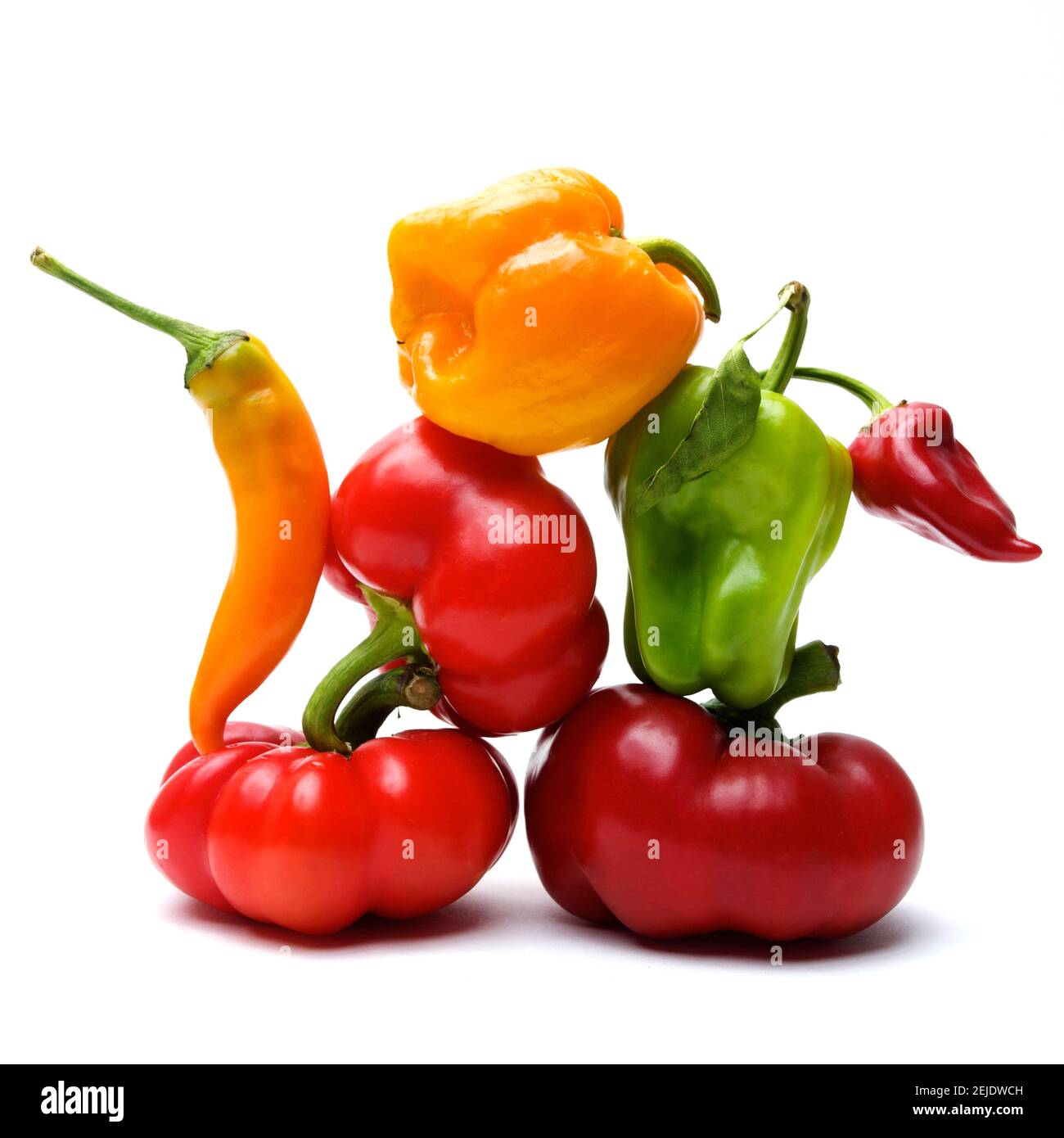 Poivrons des Caraïbes mûrs colorés (Capsicum chinense) et tomates isolées sur fond blanc Banque D'Images