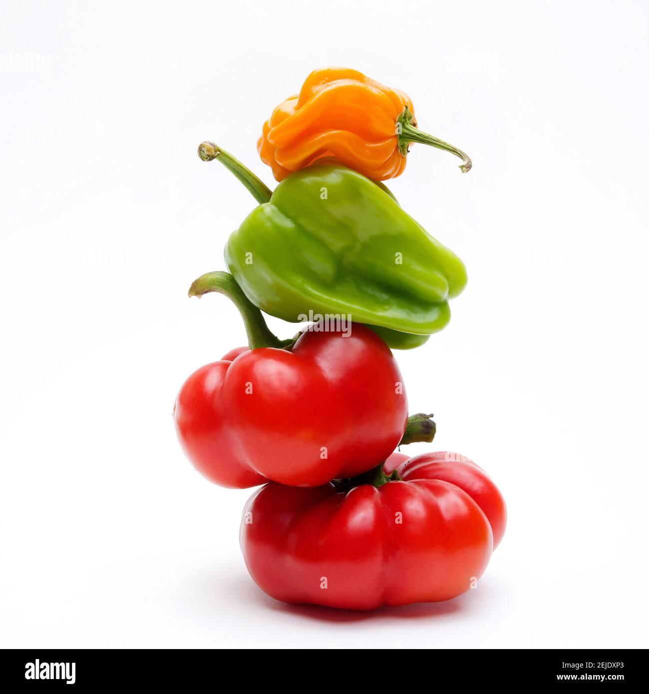 Poivrons des Caraïbes mûrs colorés (Capsicum chinense) isolé sur un fond blanc Banque D'Images