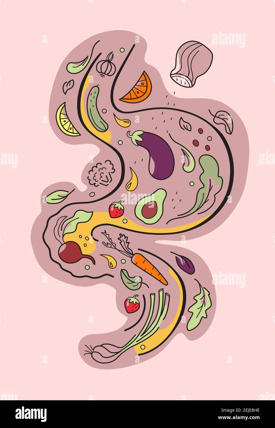 Jus d'estomac fruits légumes affiche stomac Illustration de Vecteur