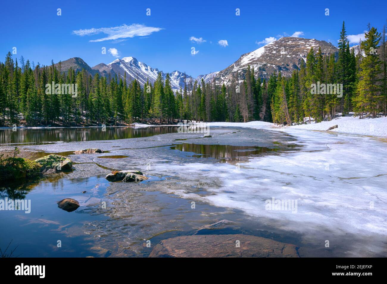 Le lac nymphe au parc national des montagnes Rocheuses Banque D'Images