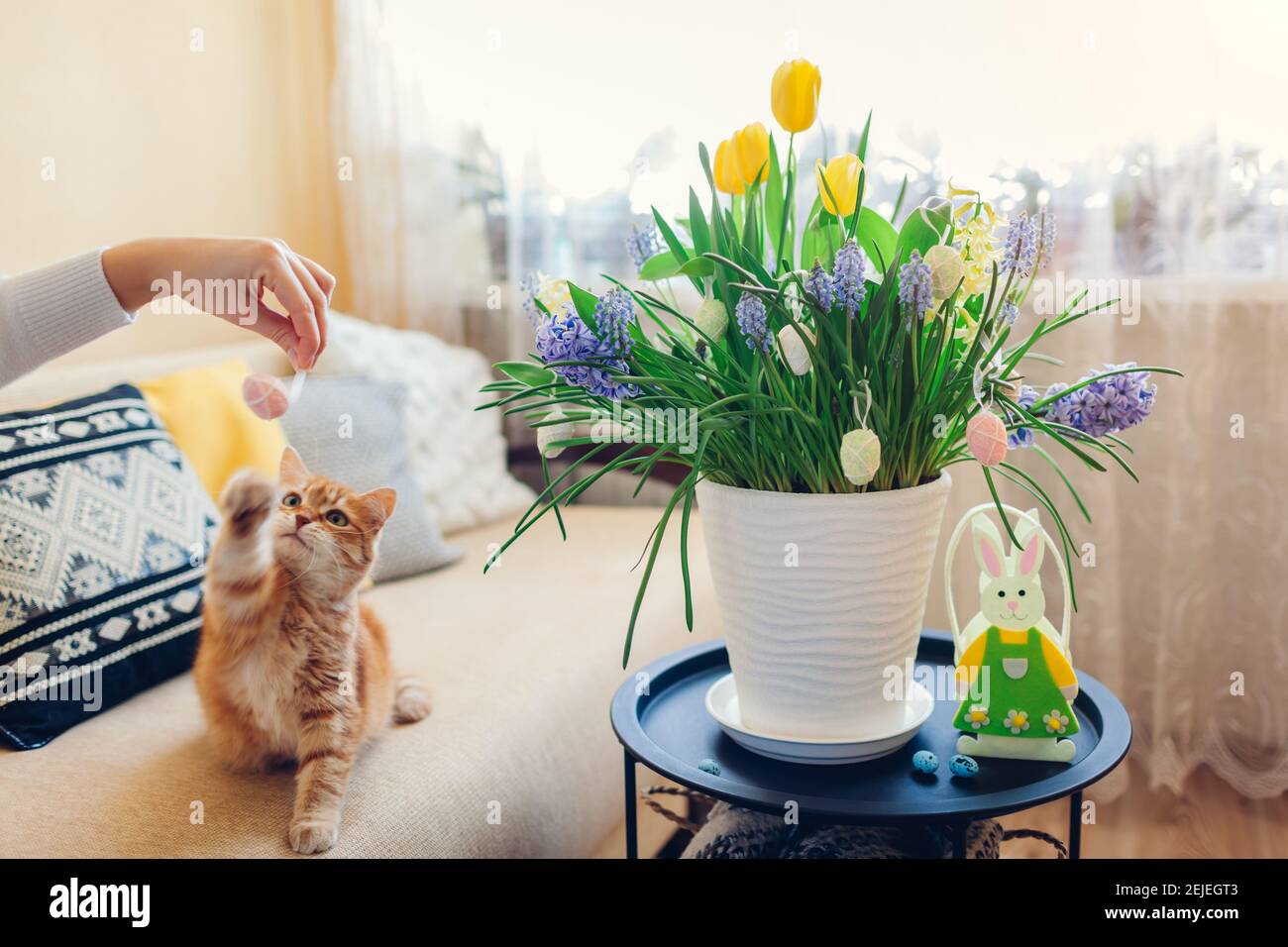 Décoration de Pâques. Chat jouant avec une femme tenant l'oeuf par les fleurs de printemps qui fleurit dans le pot à la maison. Intérieur du salon de vacances Banque D'Images