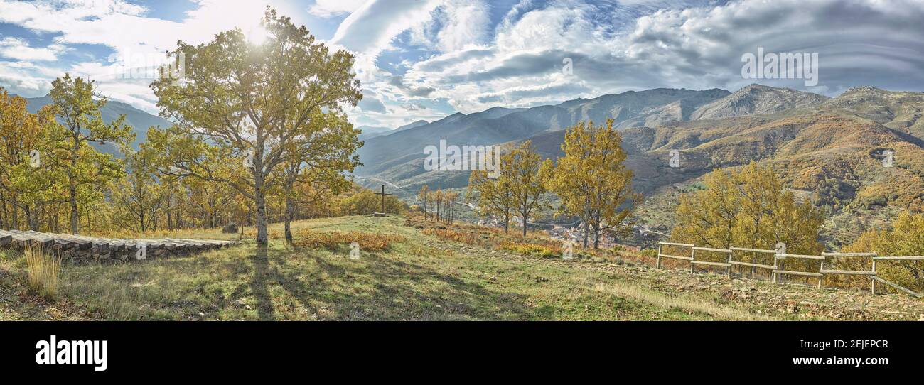 Arbres dans une vallée de Tornavacas, Valle Del Jerte, Caceres, province de Caceres, Estrémadure, Espagne Banque D'Images