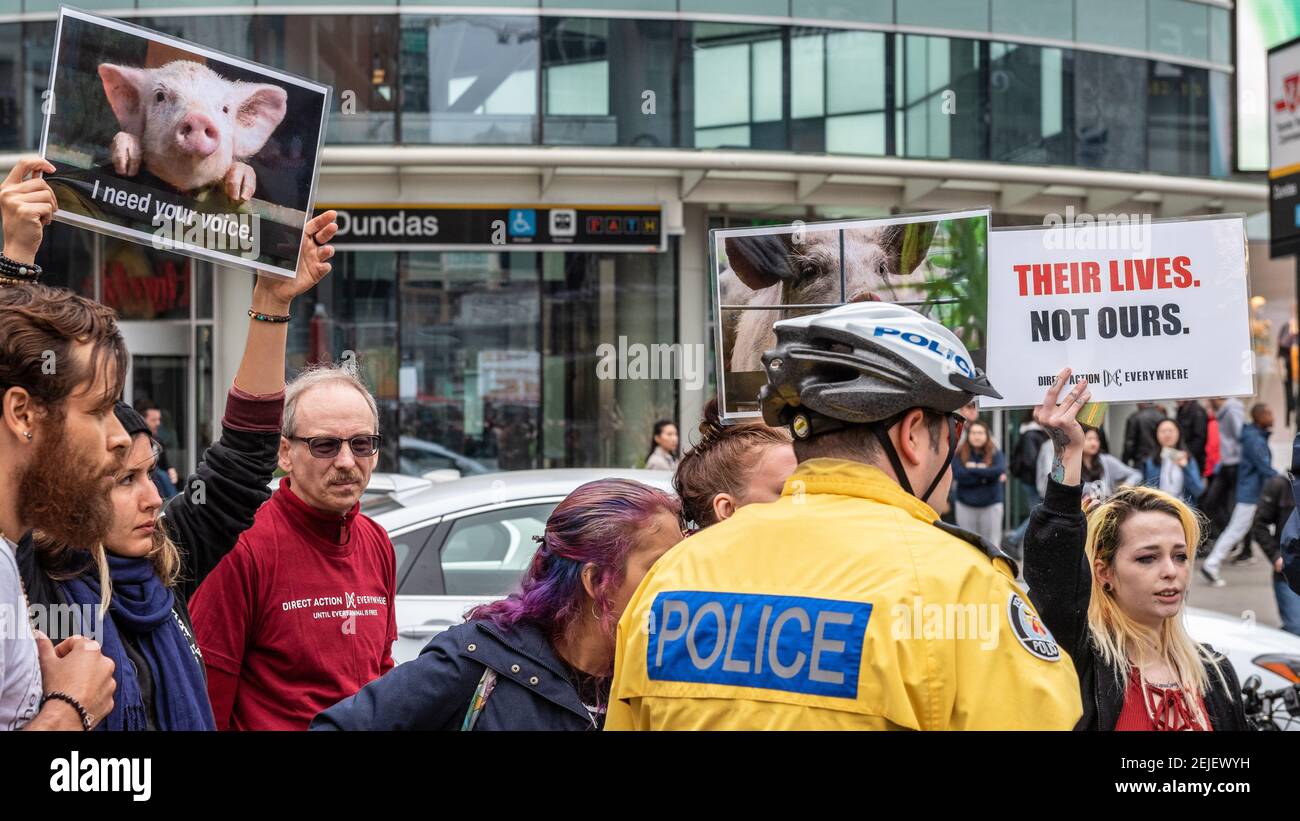 Manifestation végétalienne au Toronto Ribfest, Canada, le 27 mai 2017 Banque D'Images