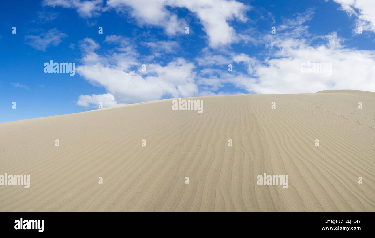 Vue à angle bas des dunes de sable de te Paki, cap Reinga, région de Northland, Île du Nord, Nouvelle-Zélande Banque D'Images