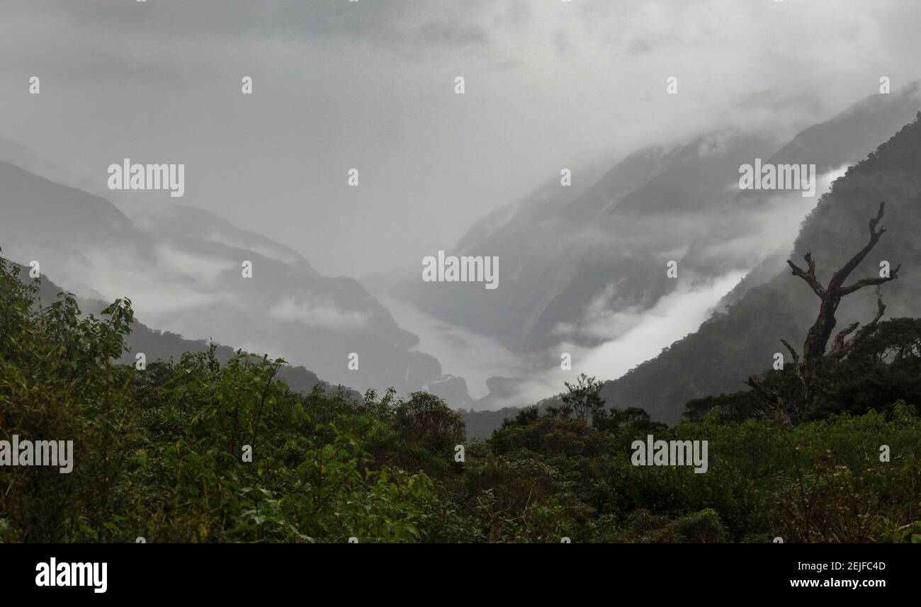 Vue imprenable sur le Doubtful Sound depuis le col Wilmot, le parc national Fiordland, le district de Southland, l'île du Sud, la Nouvelle-Zélande Banque D'Images