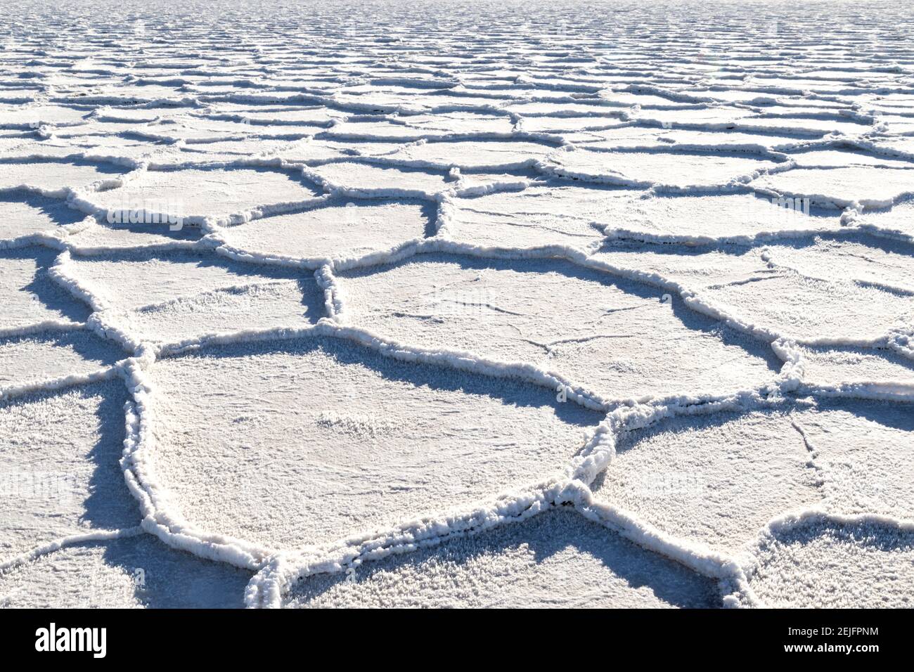 Dépôts de sel, bassin de Badwater, Vallée de la mort, Californie. Les formations géométriques serpentent au loin, avec le sol recouvert de plaques de cristaux. Banque D'Images