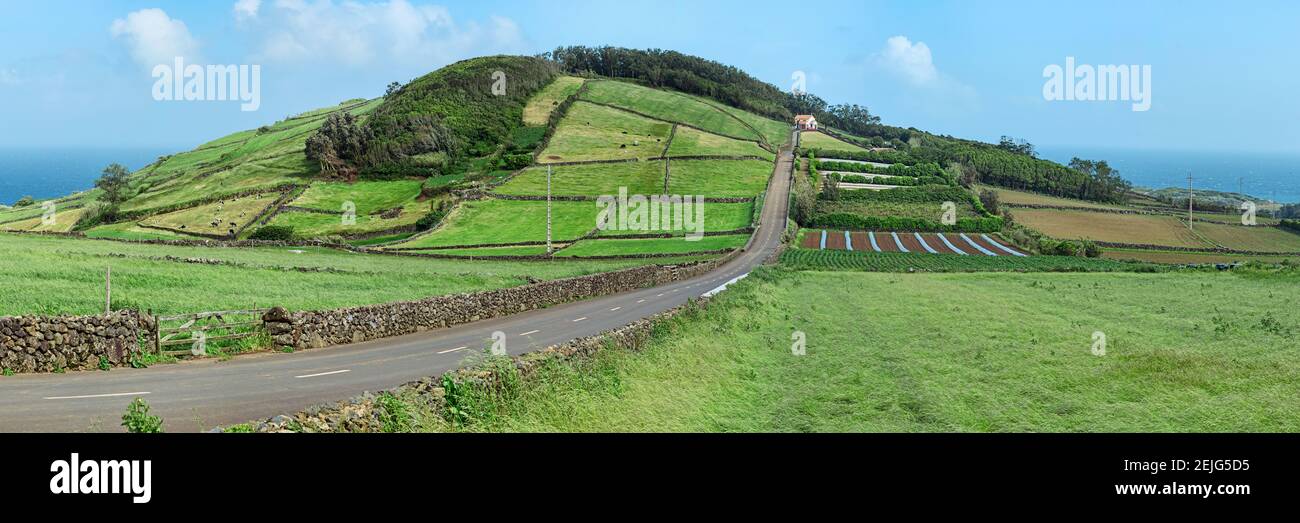 Vue sur les terres agricoles le long de la côte, île de Terceira, Açores, Portugal Banque D'Images