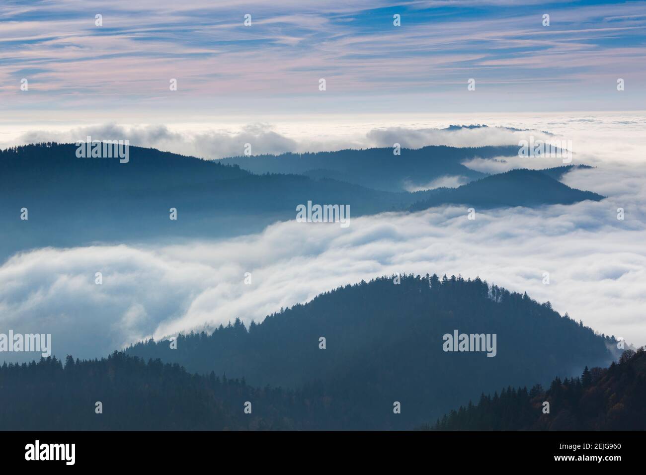 Vue surélevée de la vallée avec brouillard d'automne, Belchen, Forêt Noire, Bade-Wurtemberg, Allemagne Banque D'Images