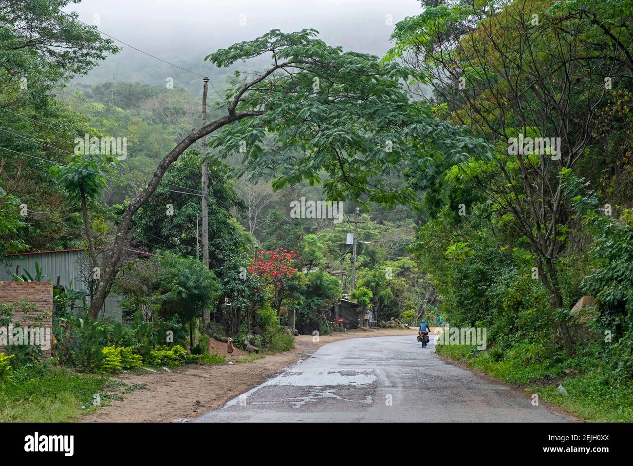 Cycliste avec beaucoup de vélo chargé à travers la forêt subtropicale dans les contreforts des Andes, province de Floride, département de Santa Cruz, Bolivie Banque D'Images