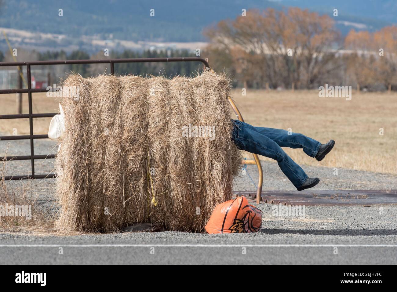 Décoration humoristique, Wallowa Valley, Oregon. Banque D'Images