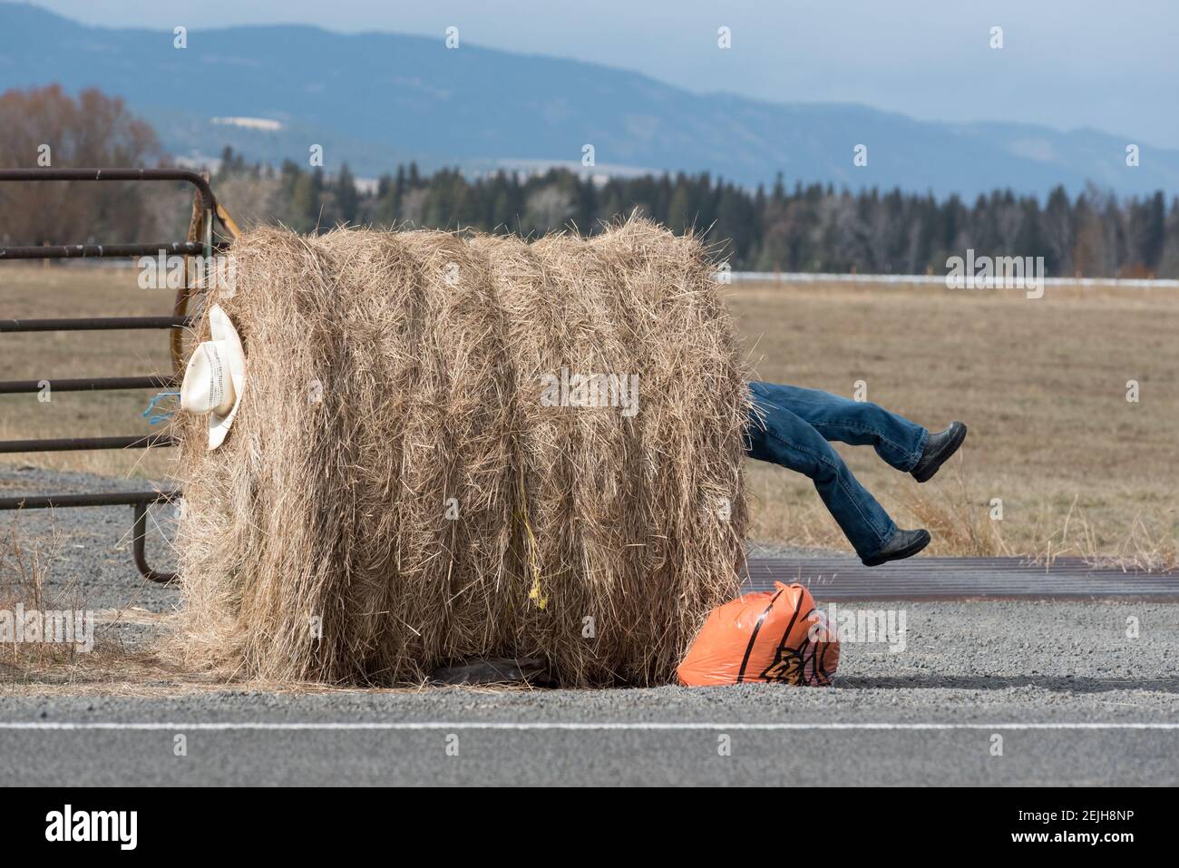 Décoration humoristique, Wallowa Valley, Oregon. Banque D'Images